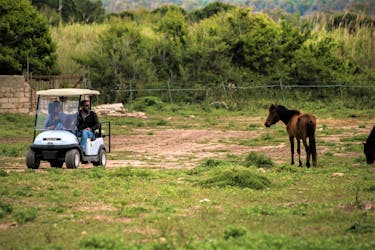 Aluguel de carro de golfe por 2 horas no Parque Natural Regional de Porto Conte